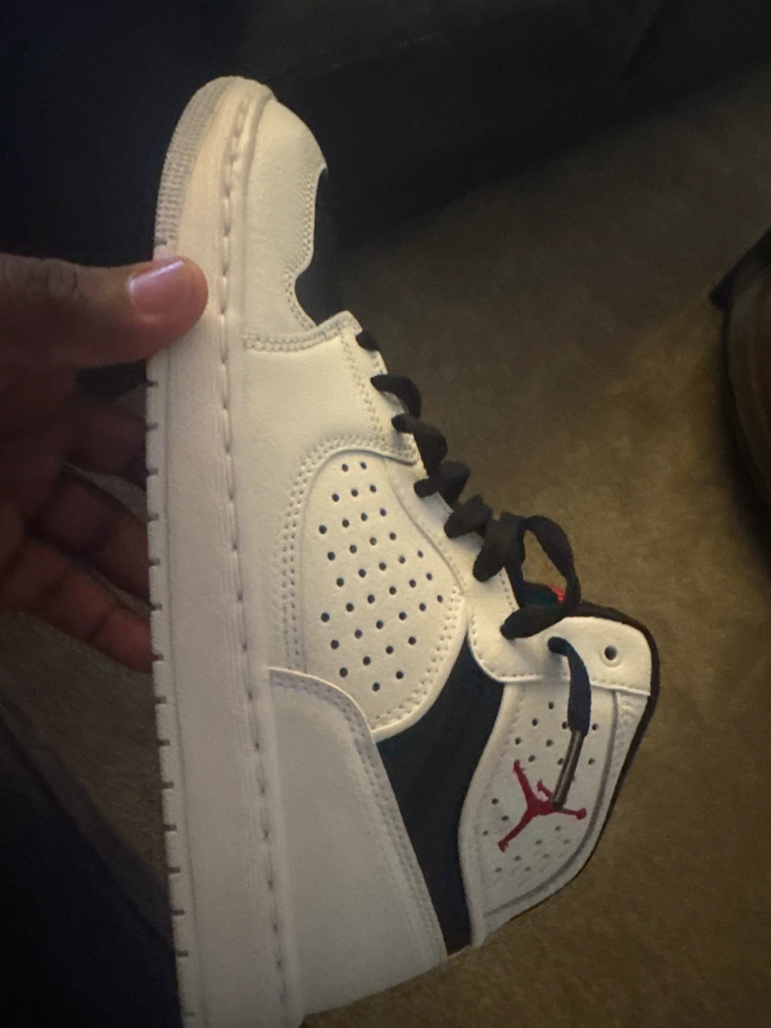 Nike Air Jordan 1 Sneakers
