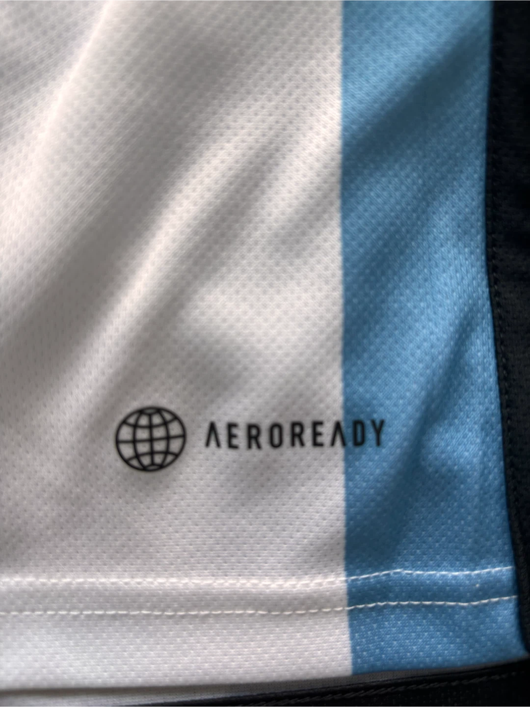Adidas Argentina FIFA World Cup Champions 2022 Jersey Men - photo 4