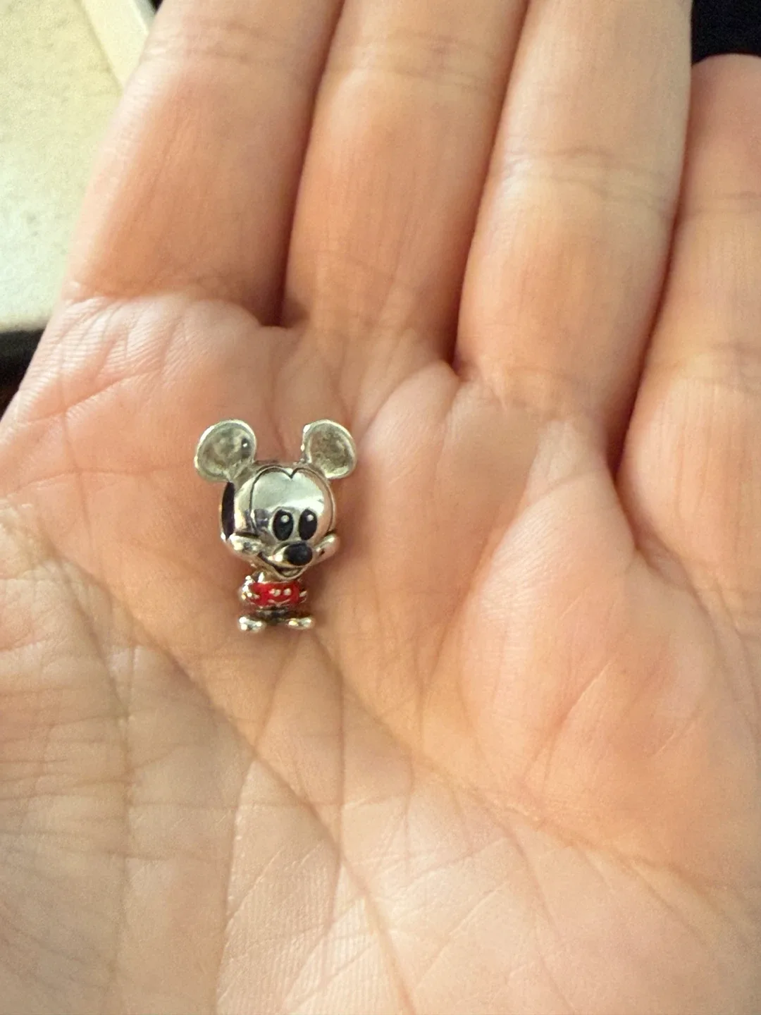 Disney Charm Bracelet Charms