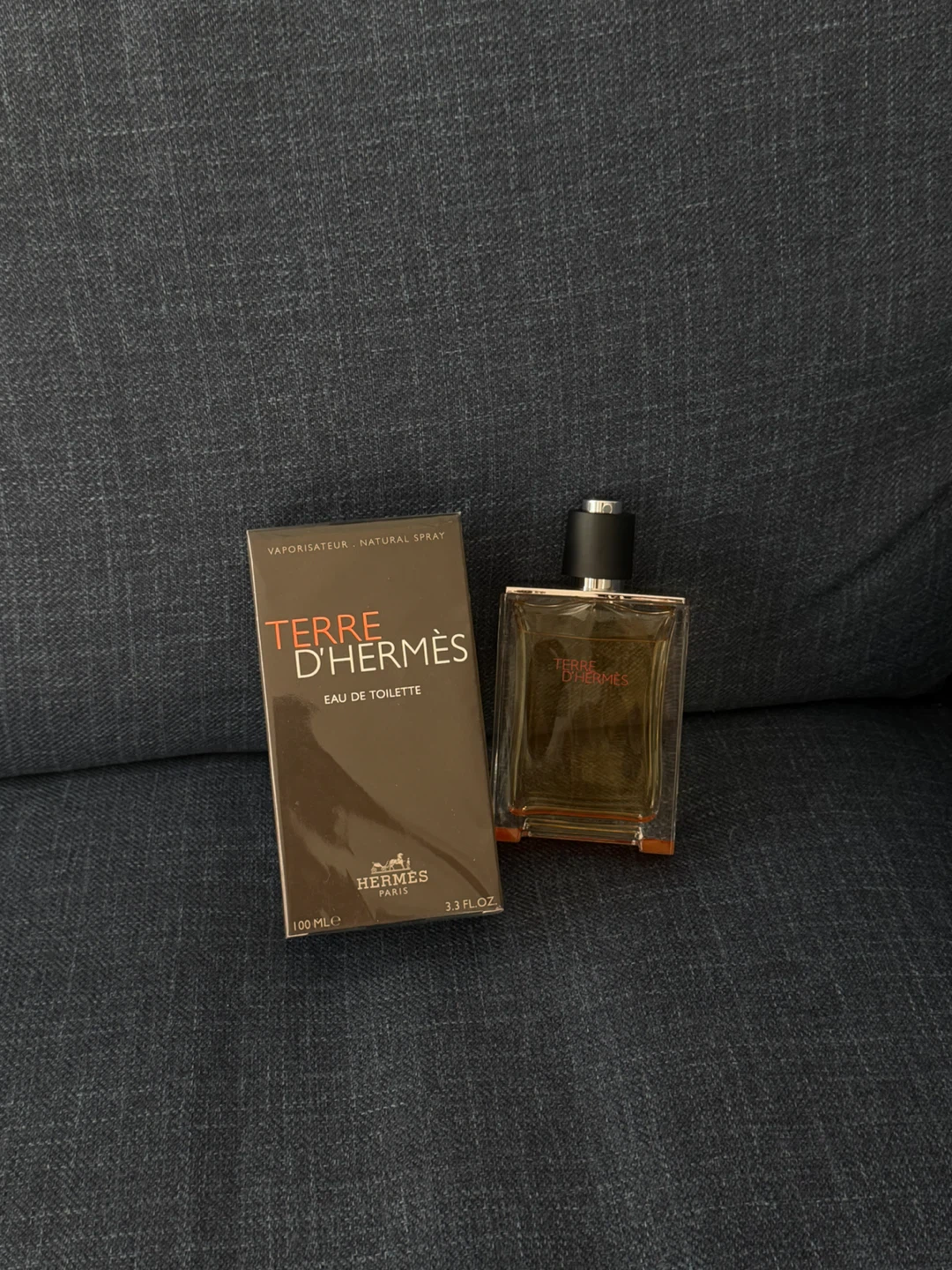 Hermès Terre d'Hermès Eau de Toilette - 100ml