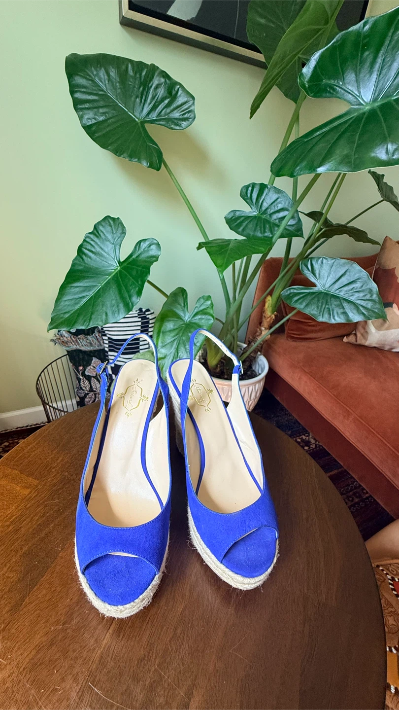 Blue Espadrille Wedge Sandals