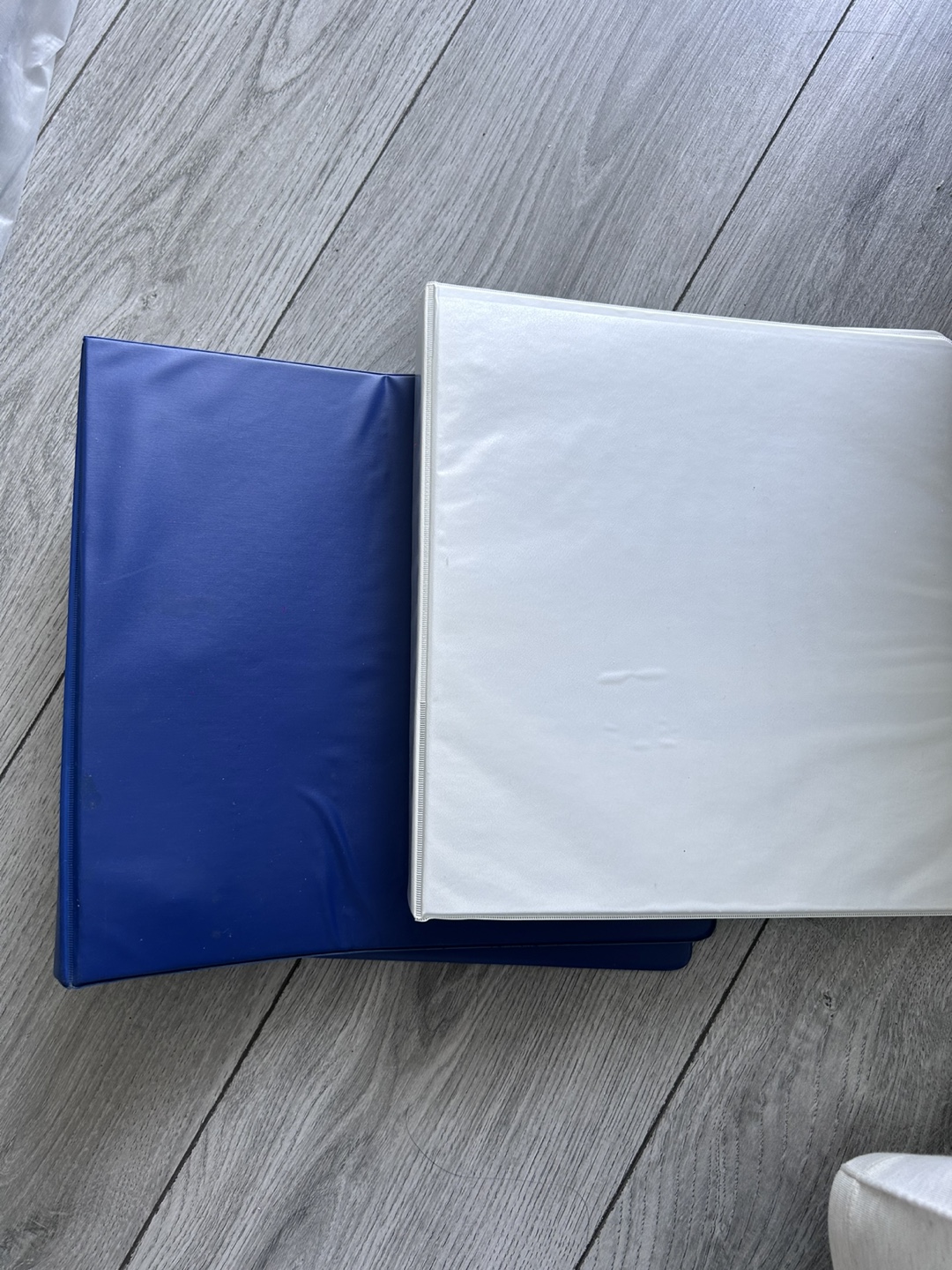Blue and White Ring Binders - Set of 2