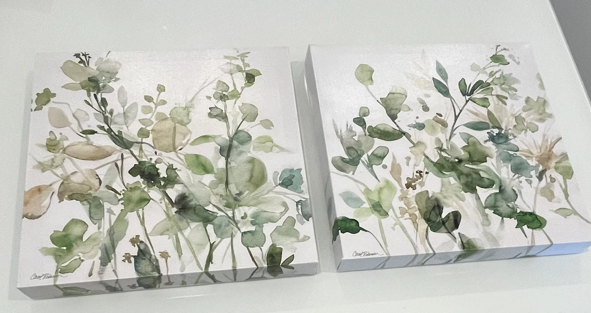 Canvas Wall Art Prints - Cactus & Floral Designs - photo 2