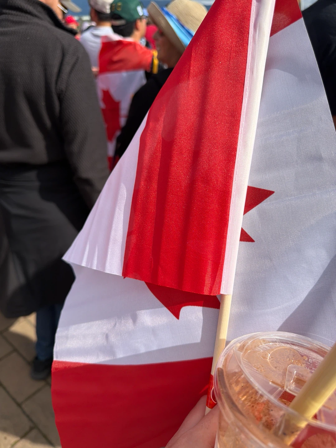 Canadian Flag
