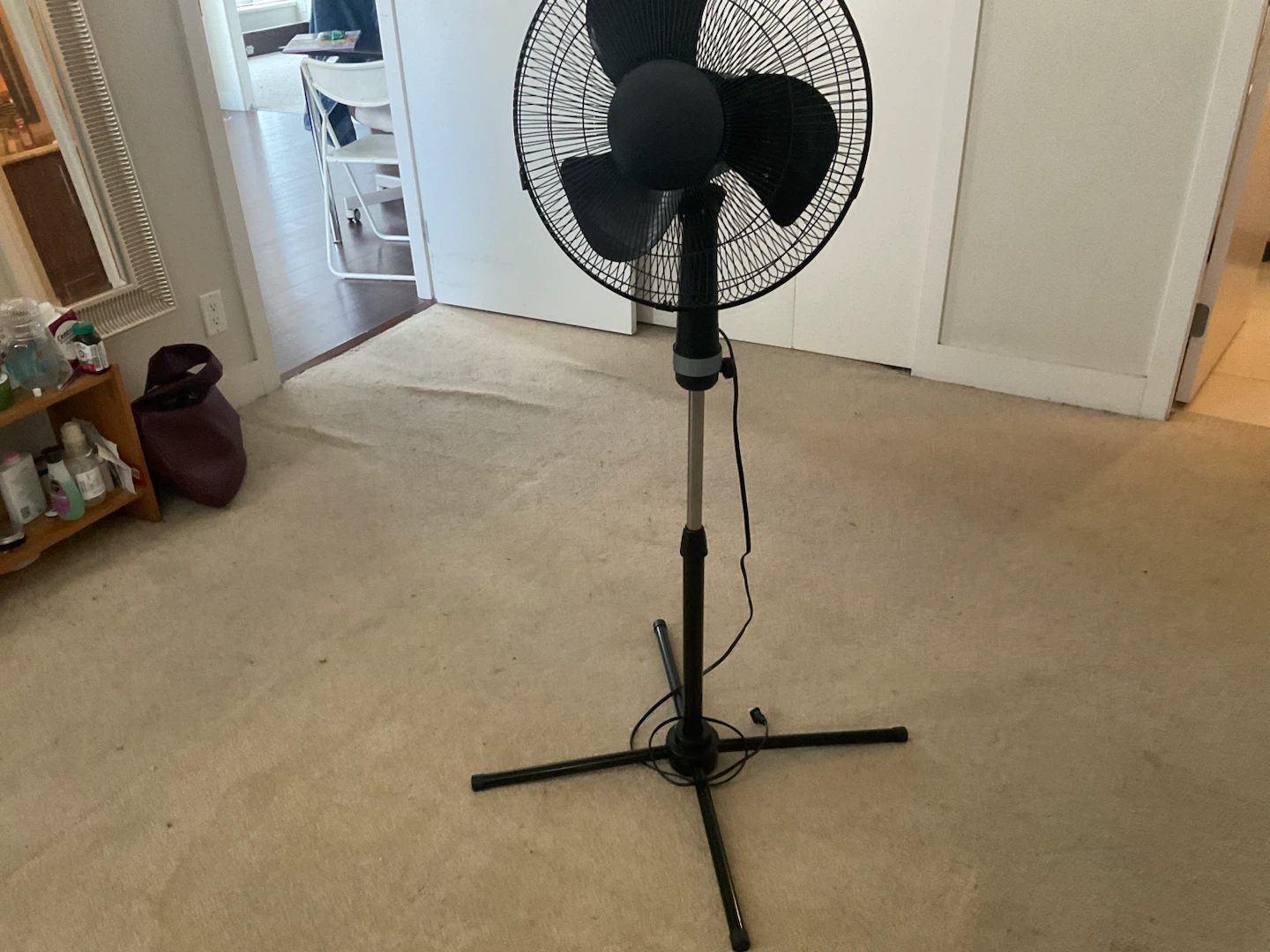Black Standing Fan