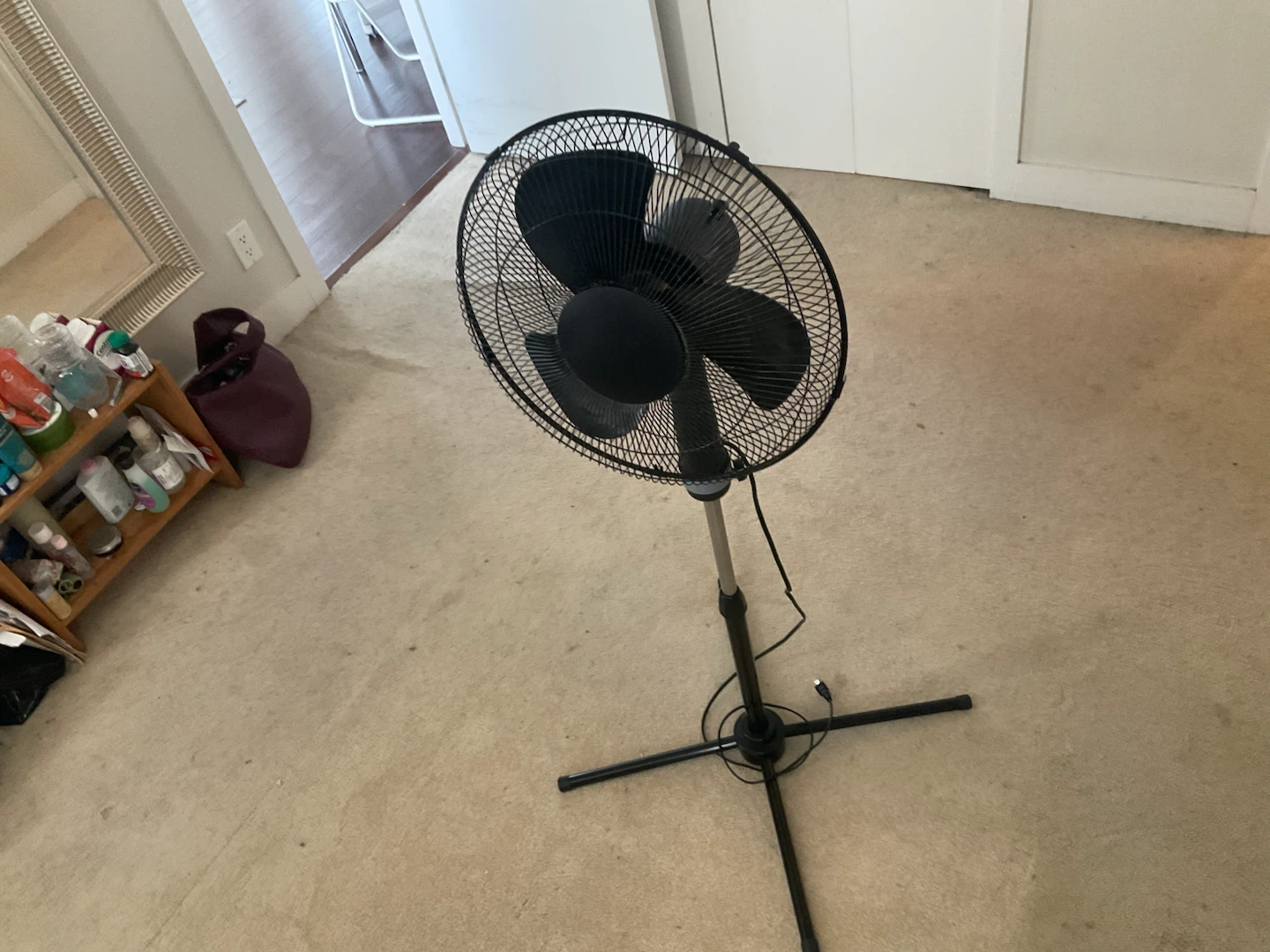 Black Standing Fan - photo 2