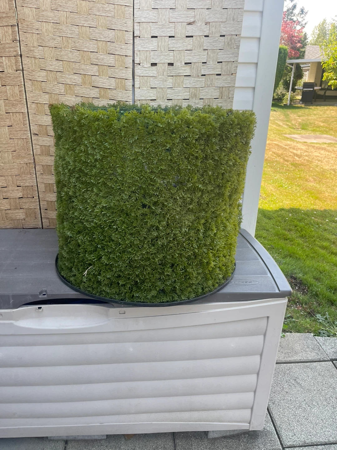 Large Black Plastic Planter Pot with Artificial Greenery - photo 2