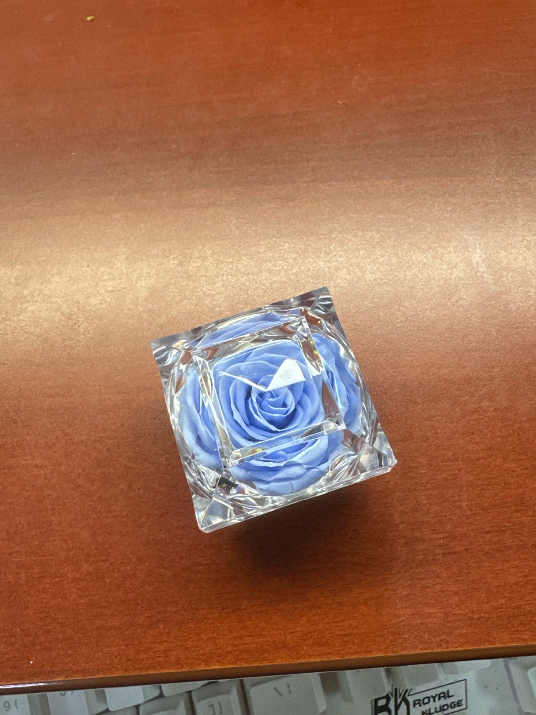 Preserved Blue Rose in Crystal Display - photo 2