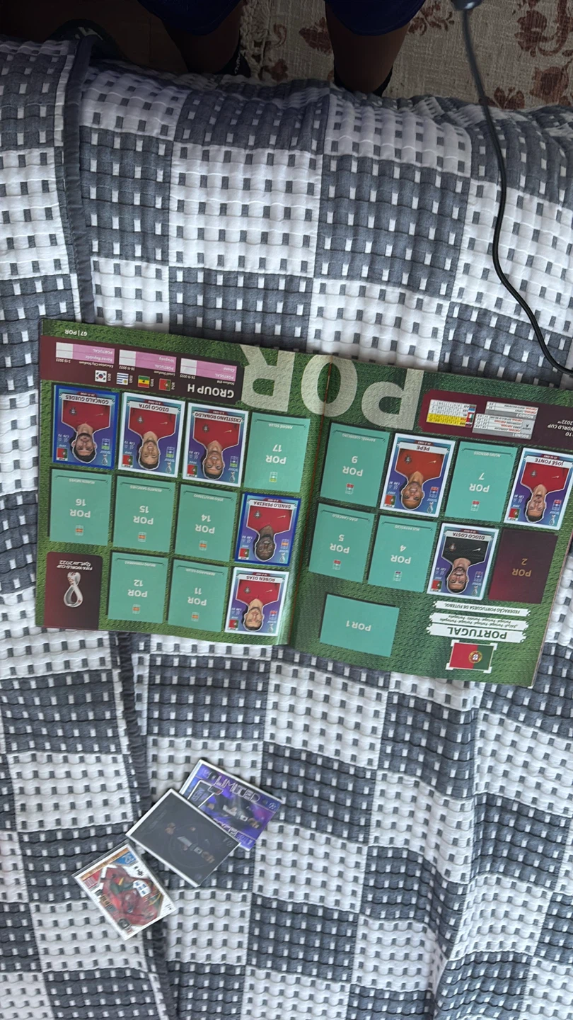 Panini FIFA World Cup Qatar 2022 Sticker Album - photo 4