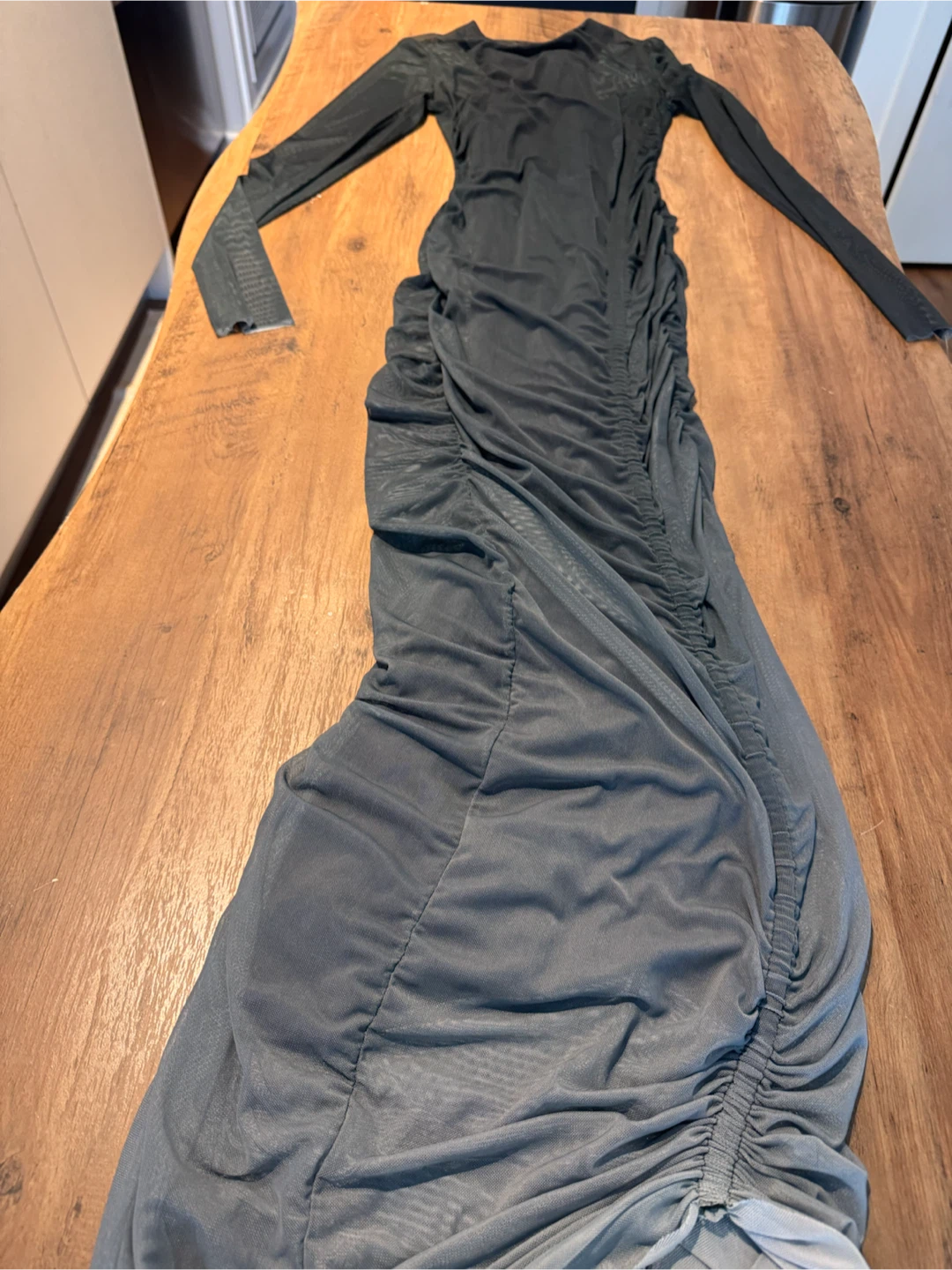 ZARA Mesh Ruched Long Sleeve Dress