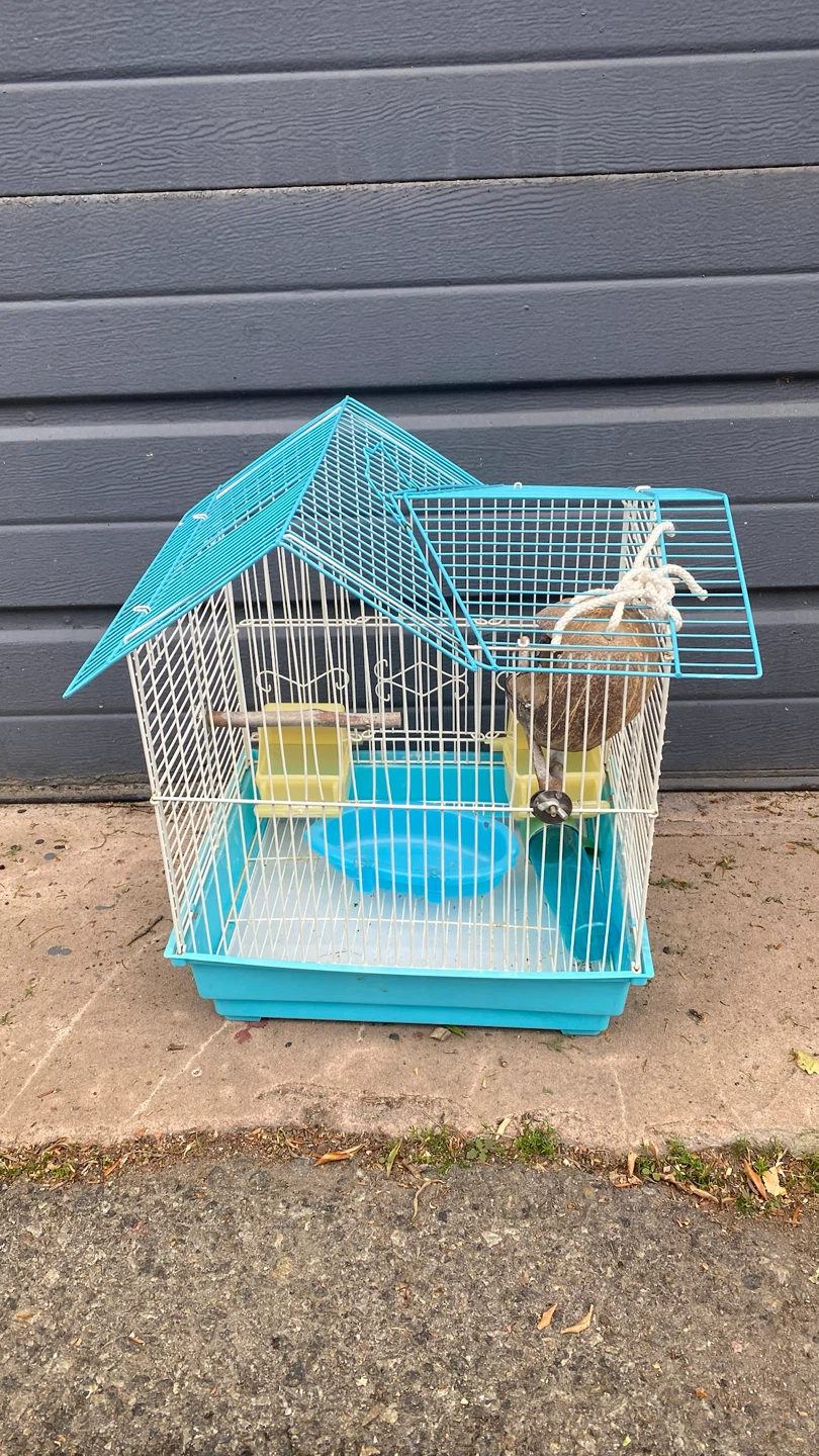 Light Blue Bird Cage with Accessories