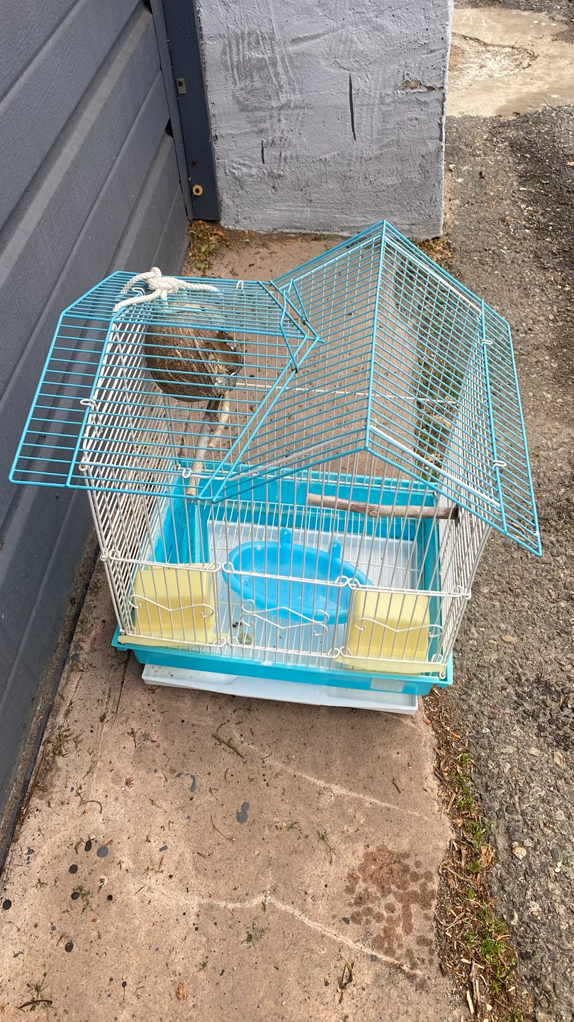 Light Blue Bird Cage with Accessories - photo 3