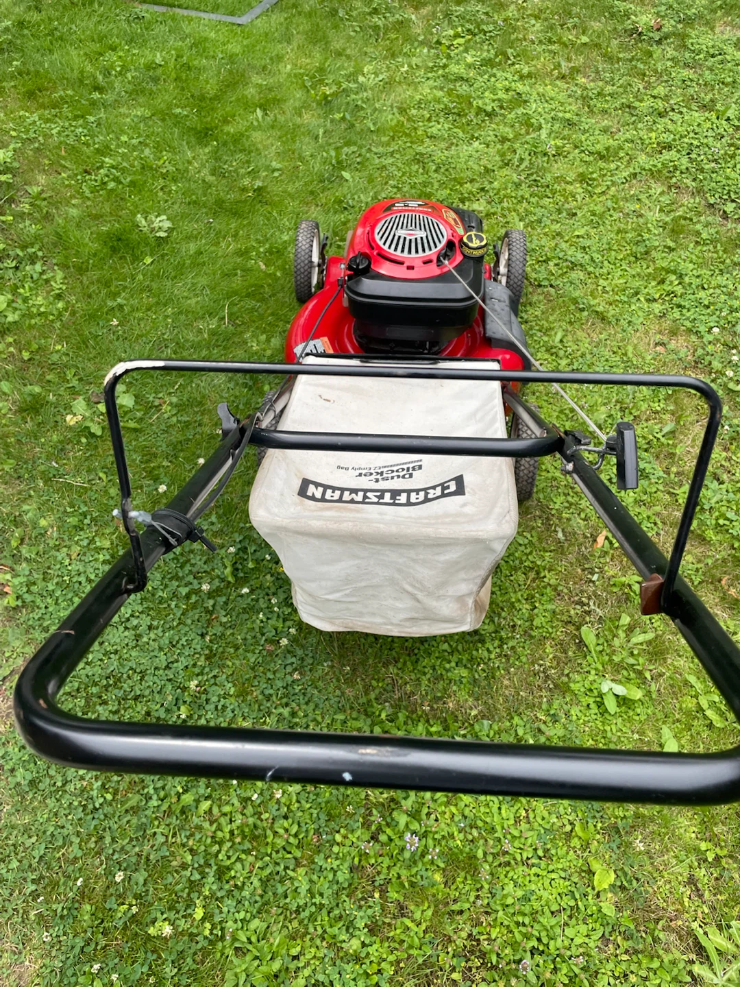 Gas lawnmower, delivery - photo 3