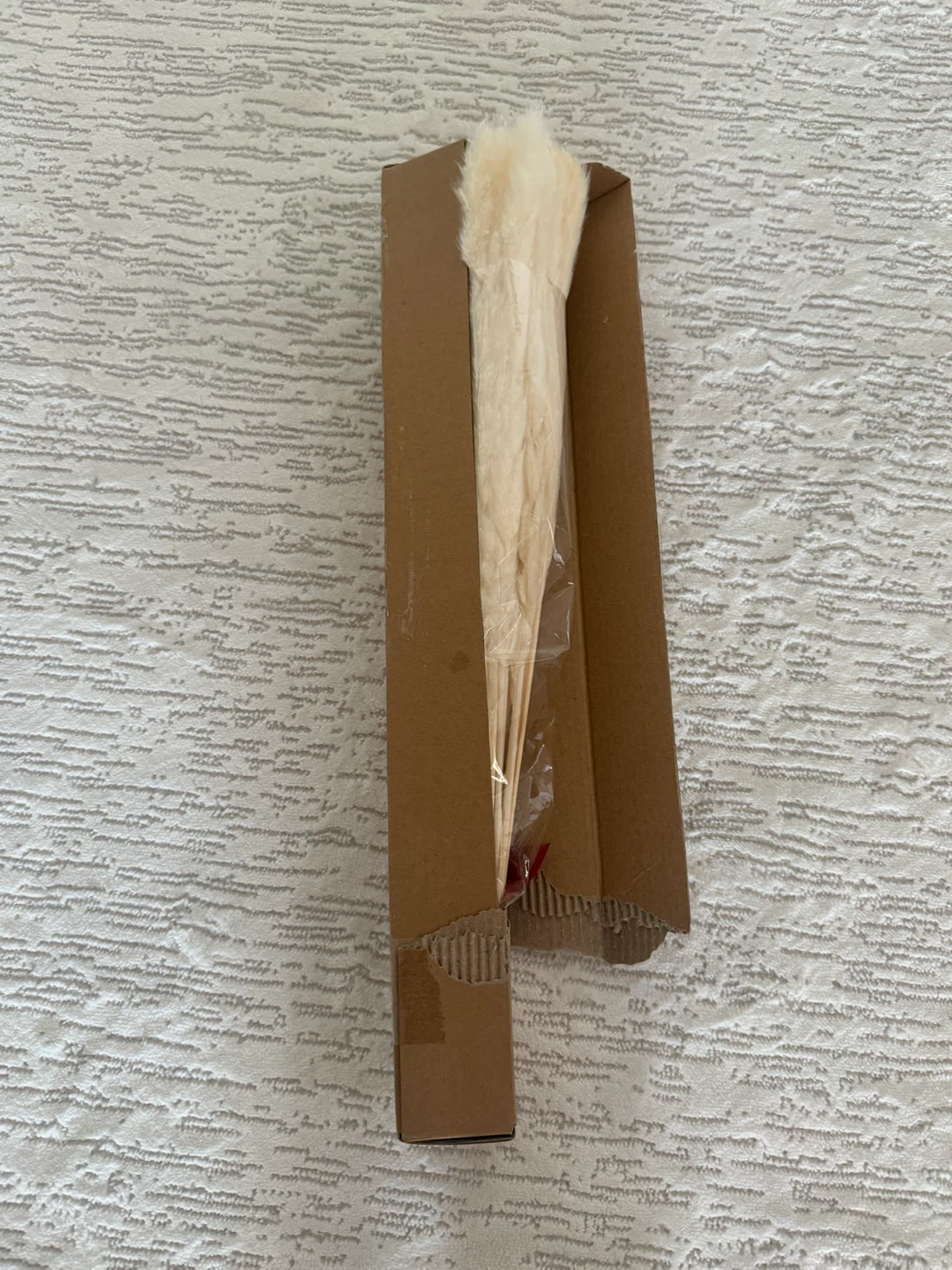 New Dried Pampas Grass decor - photo 2