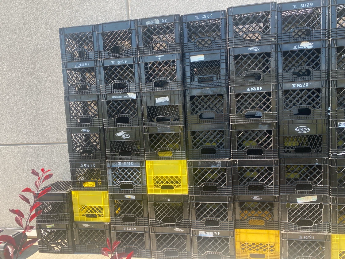 Set of Milk Crates - Black and Yellow