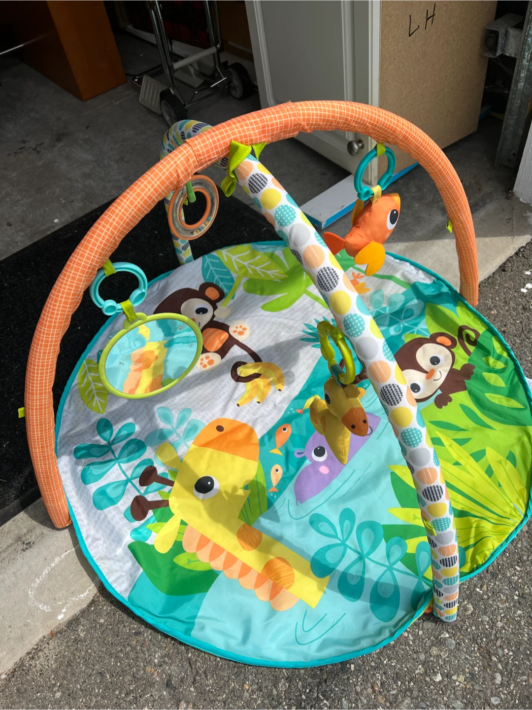 Infantino Play Gym