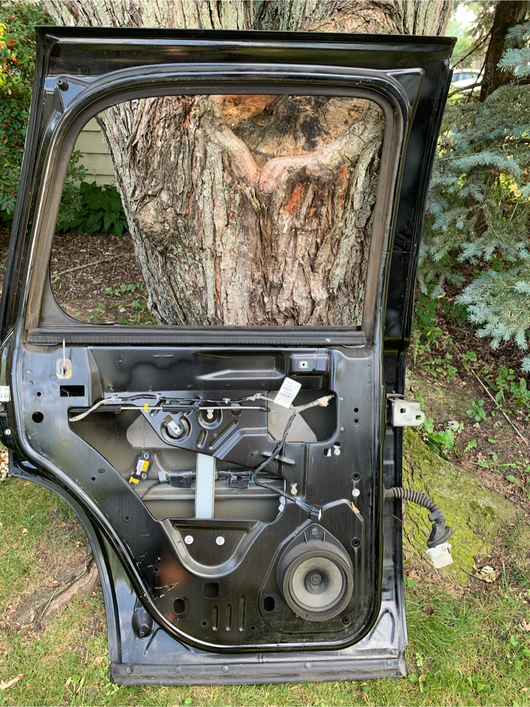 Black Rear Door Assembly
