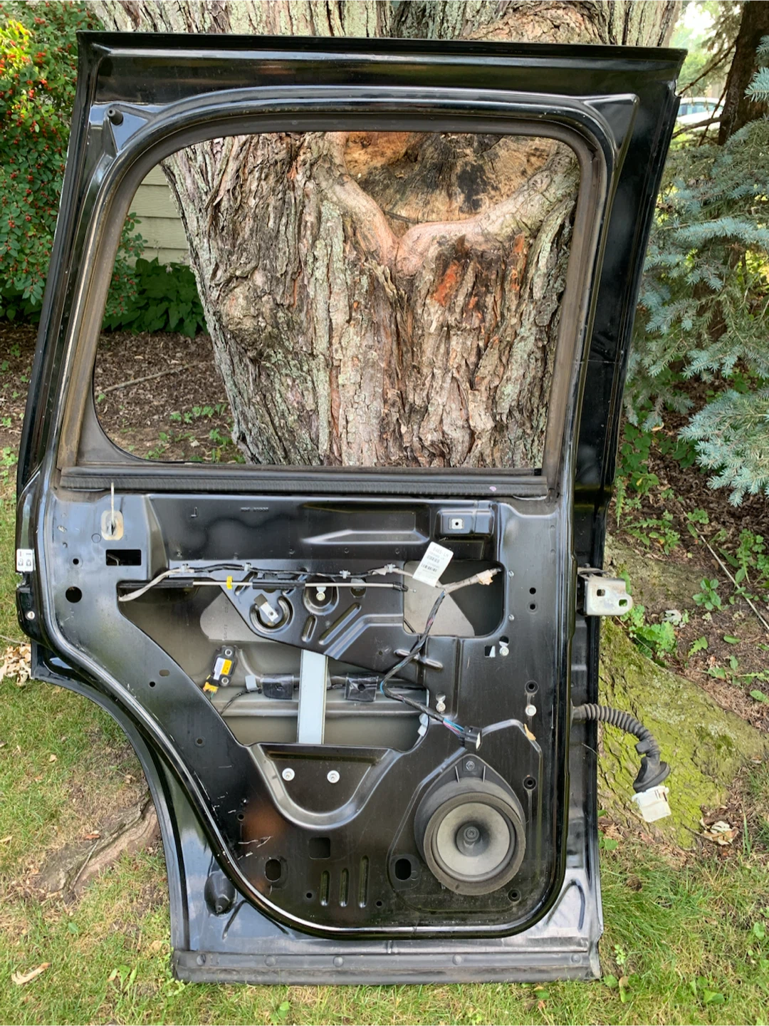 Black Rear Door Assembly - photo 2