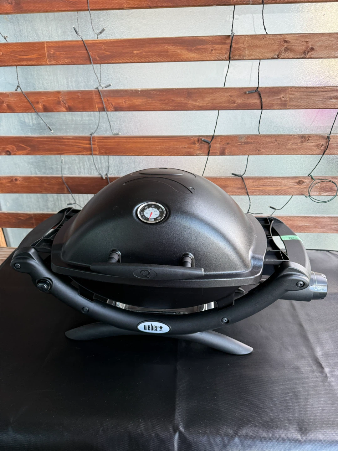 Weber Q Portable Grill