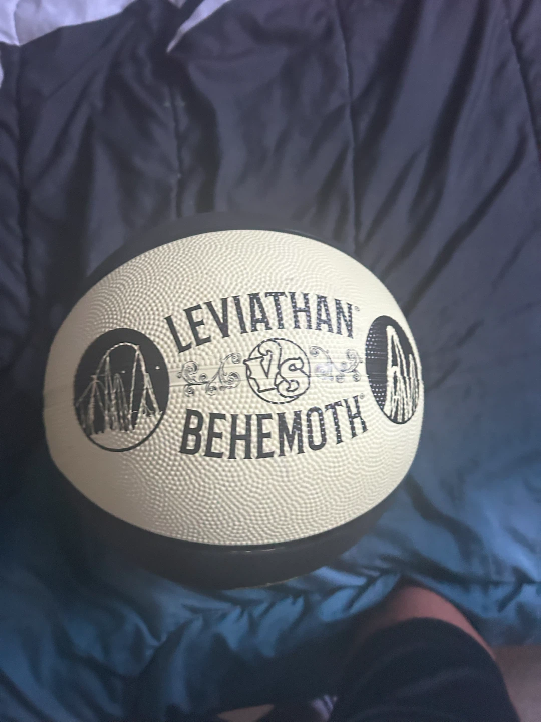 Leviathan vs Behemoth Basketball
