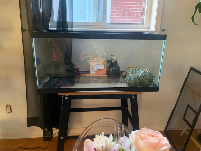Glass Terrarium Tank with lots Accessories
