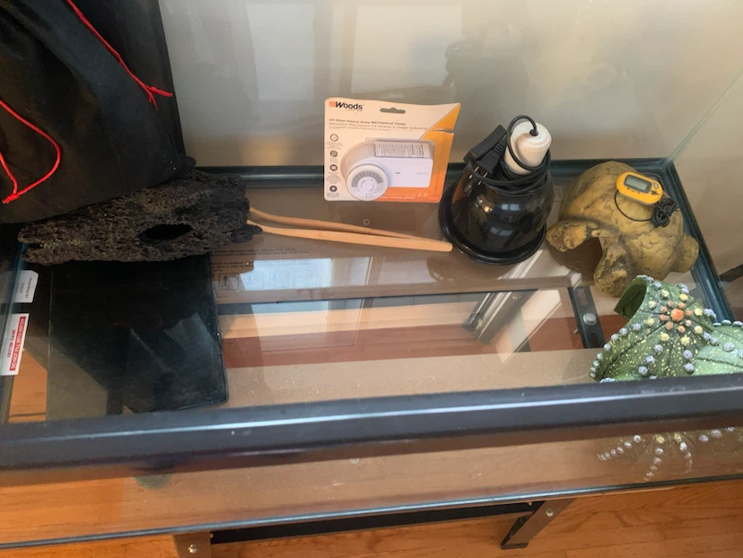 Glass Terrarium Tank with lots Accessories - photo 2