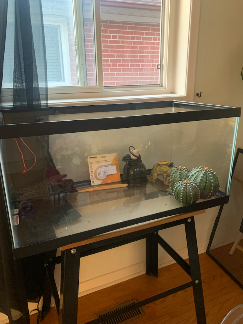Glass Terrarium Tank with lots Accessories - photo 3