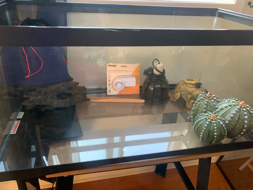 Glass Terrarium Tank with lots Accessories - photo 4