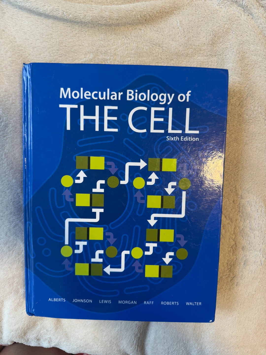 Molecular Biology of the Cell: Sixth Edition Textbook