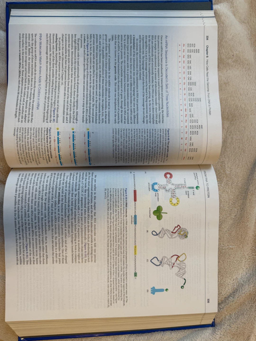 Molecular Biology of the Cell: Sixth Edition Textbook - photo 2