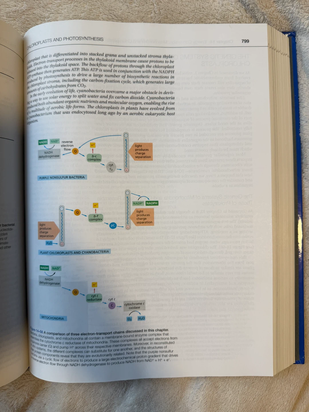 Molecular Biology of the Cell: Sixth Edition Textbook - photo 4