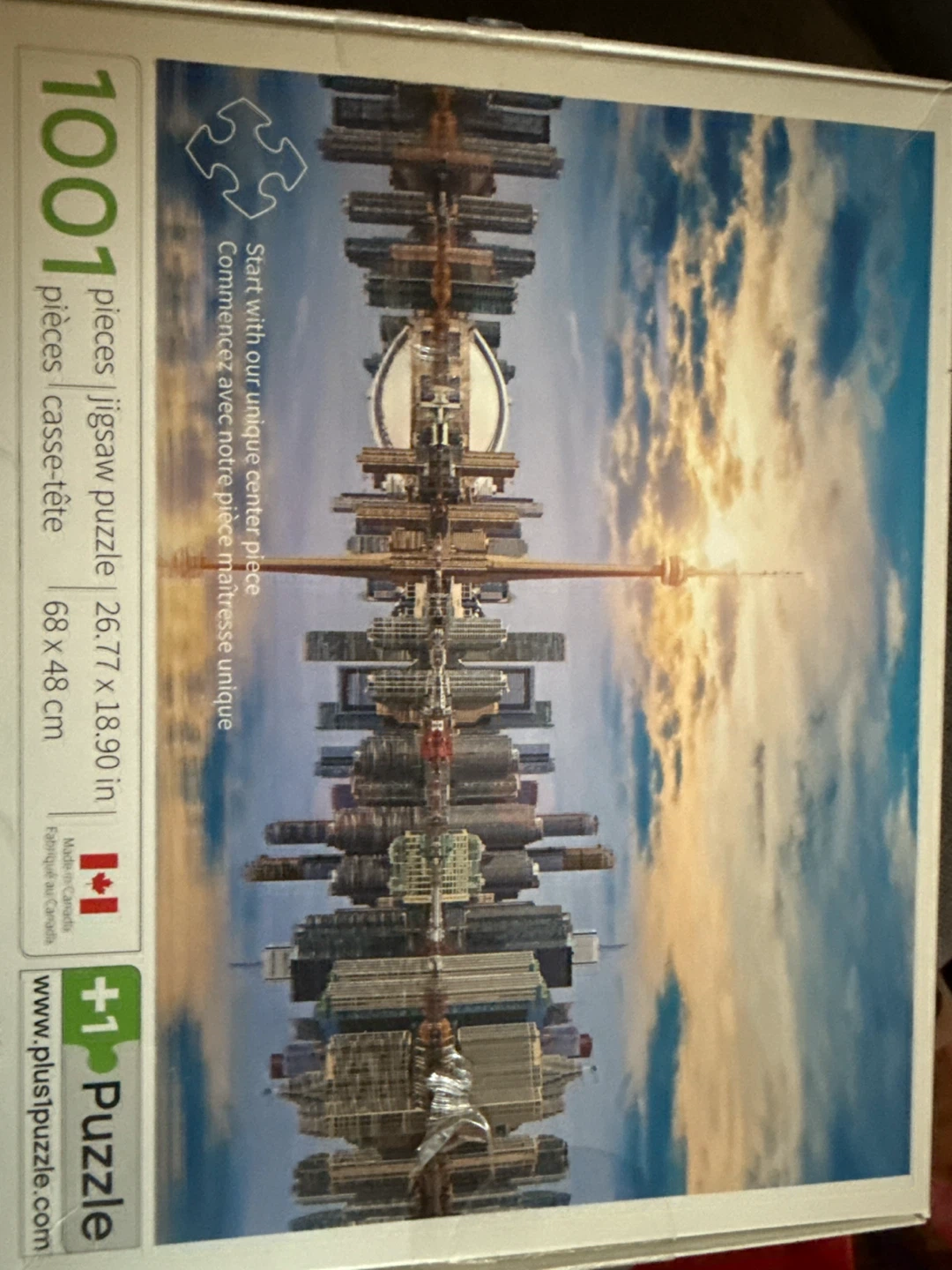 Plus 1 Puzzle 1001 Piece Jigsaw Puzzle