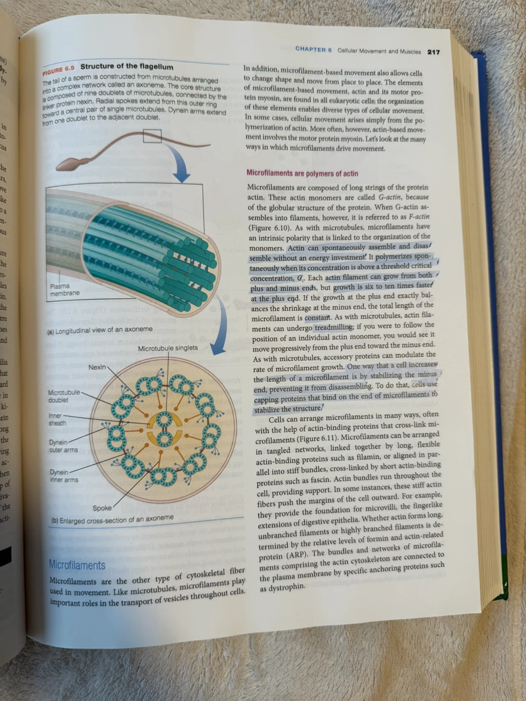 Principles of Animal Physiology, Third Edition Textbook - photo 2