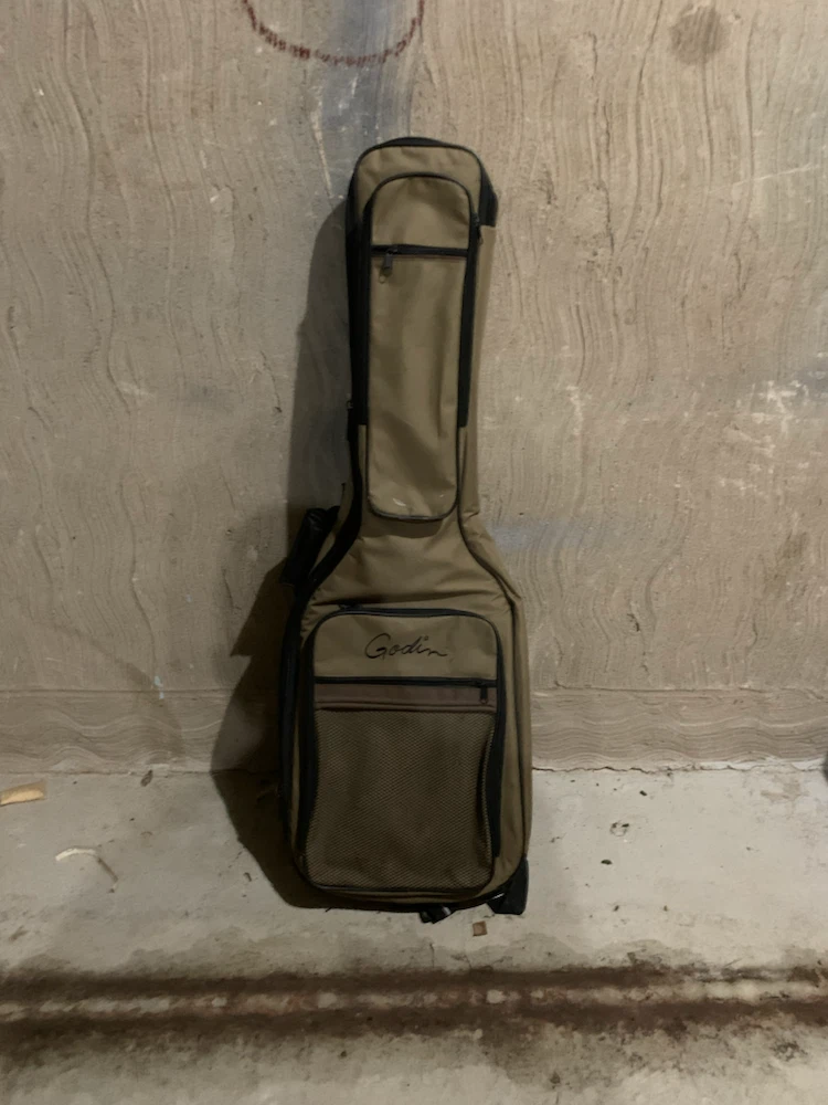 Godin Gig Bag