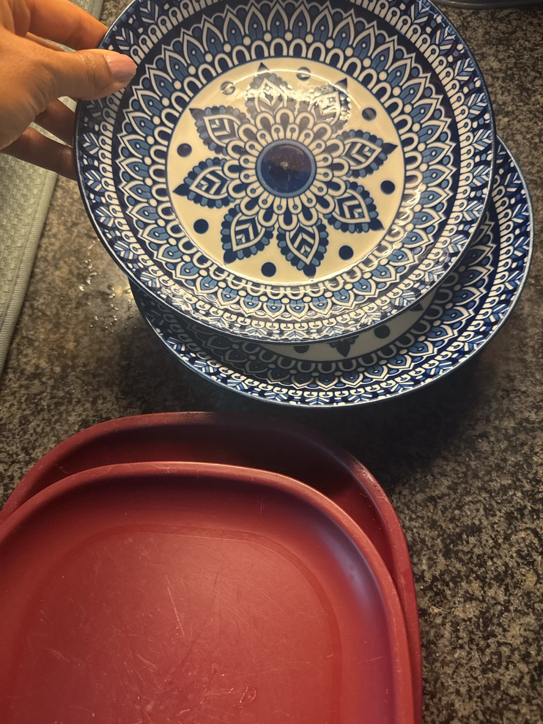 Blue and White Decorative Plate - photo 2