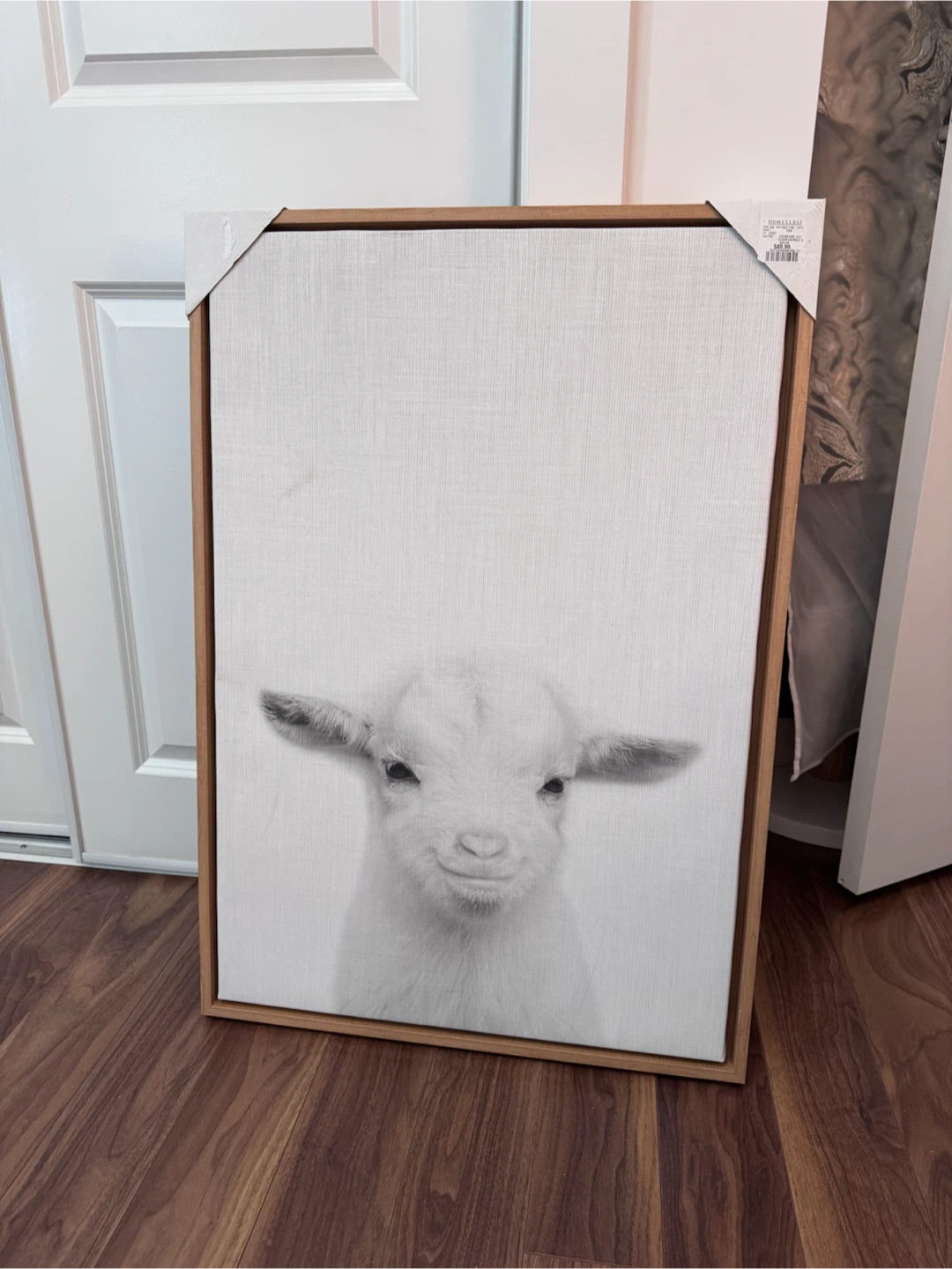 Framed Canvas Wall Art