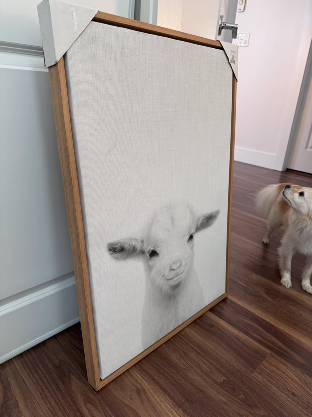 Framed Canvas Wall Art - photo 3