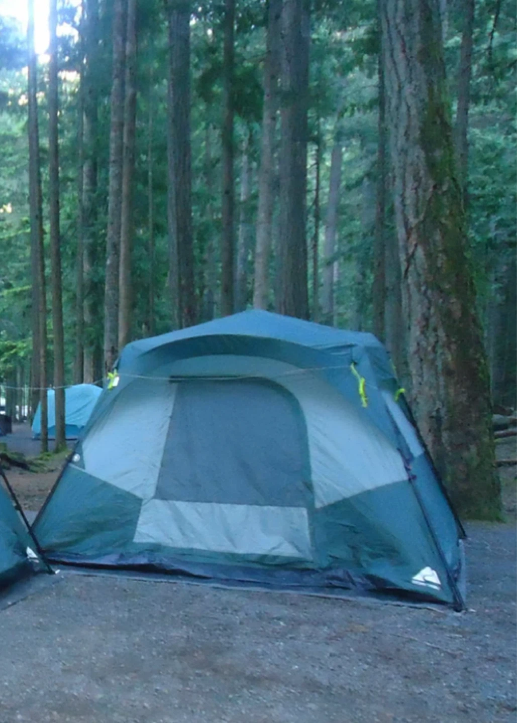 Ozark Trail 6-Person Instant Cabin Tent - photo 2