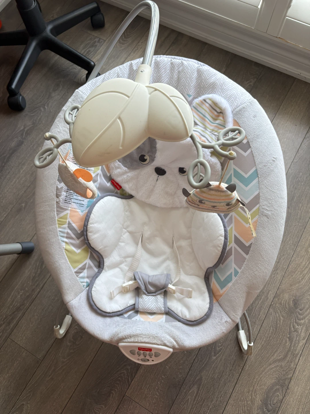 Fisher-Price Baby Bouncer