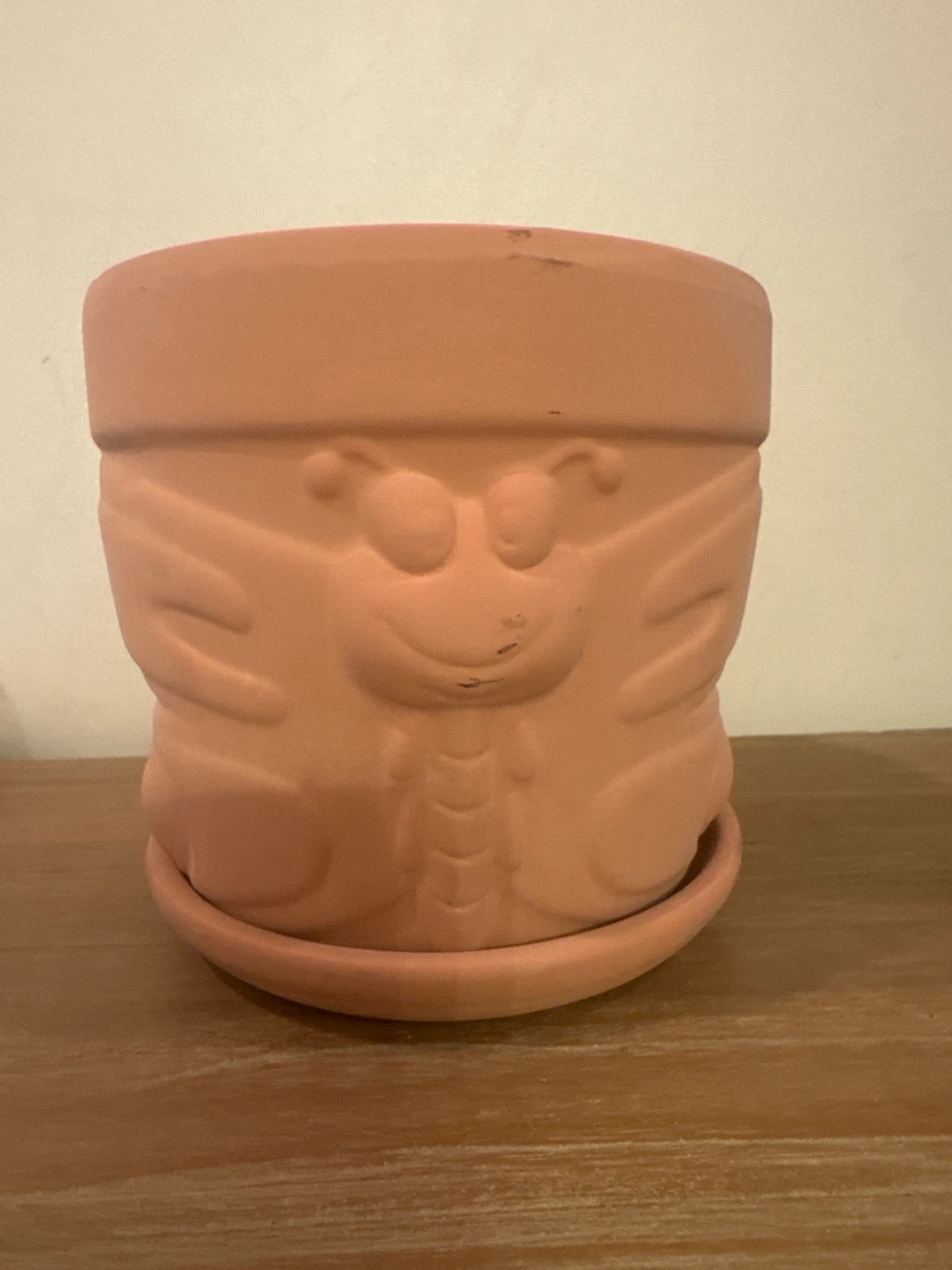 Terracotta Plant Pot with Saucer