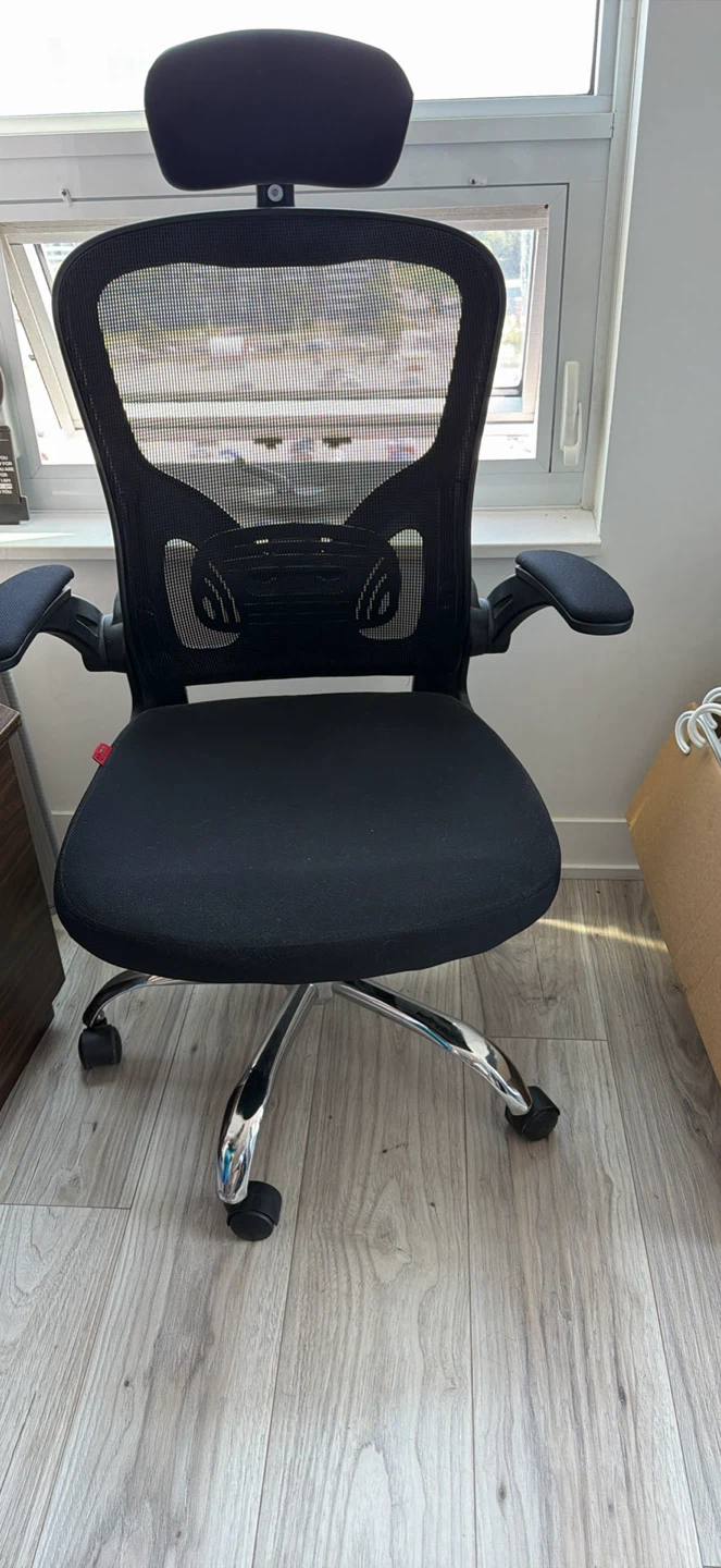 Black Mesh Office Chair with Headrest