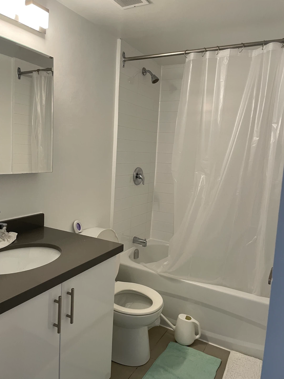 Private Room - Rent- Female- $1250 - photo 4