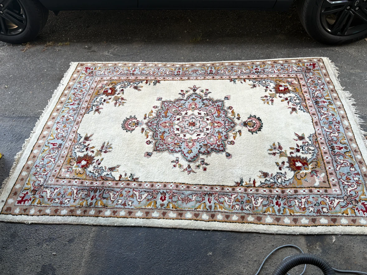 Persian Style  Wool Area Rug - photo 2