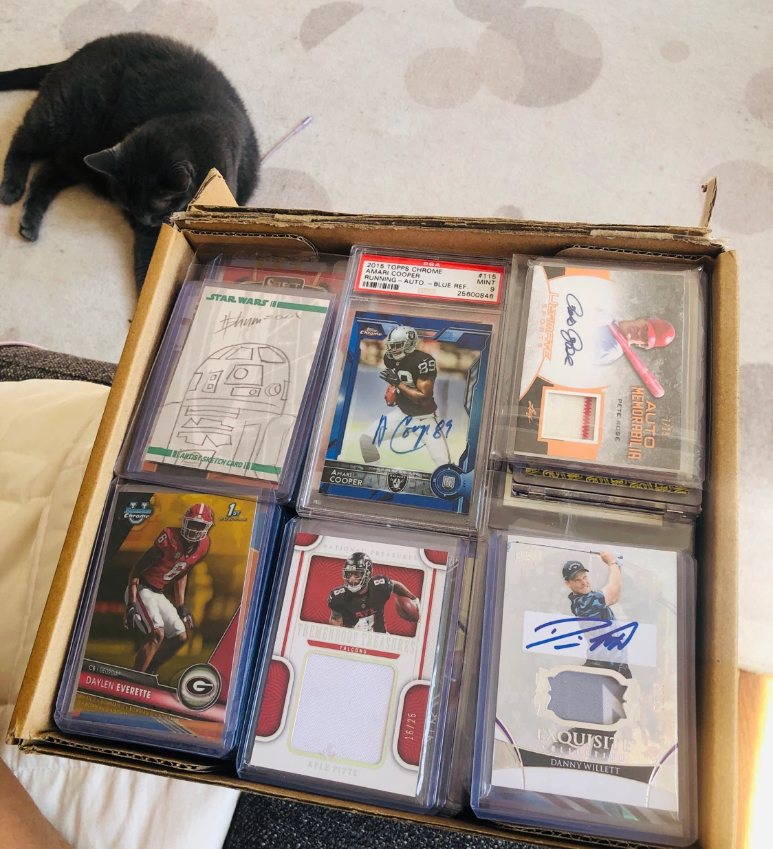 250+ Assorted Sports Trading Cards