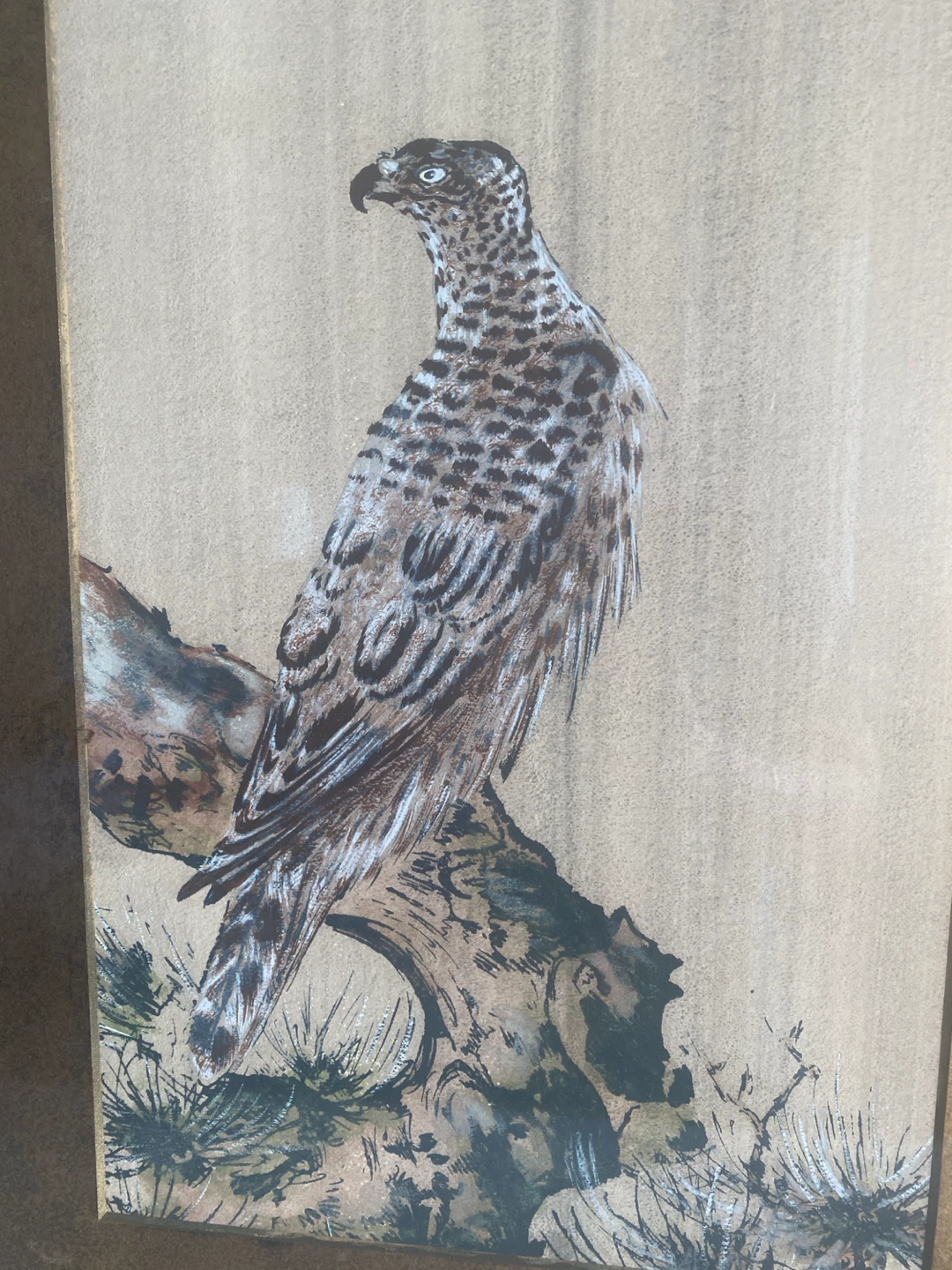 Vintage Marko “The Falcon” Framed Wall Art – 32” × 18” - photo 4