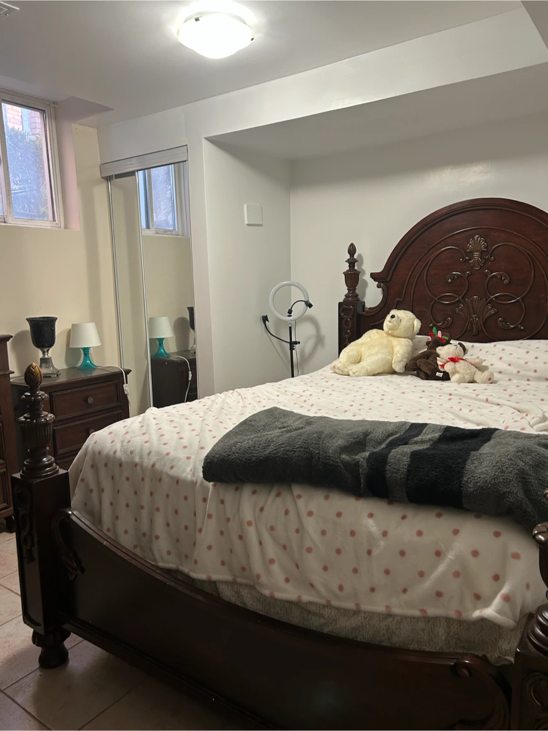 2 bedrooms basement, Mississauga - photo 4