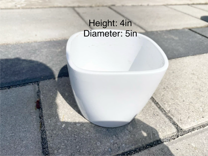 Small White Ceramic Planter Pot