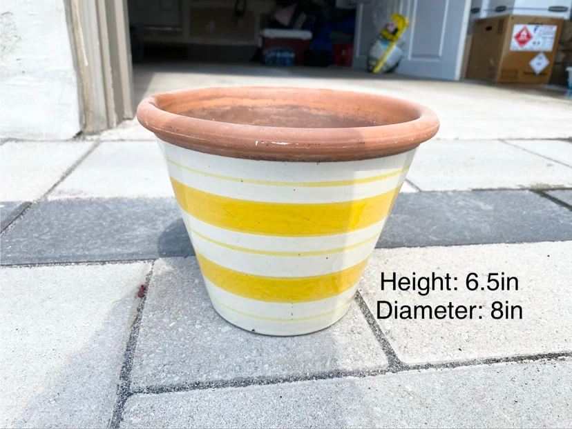 Yellow Striped Terracotta Planter Pot
