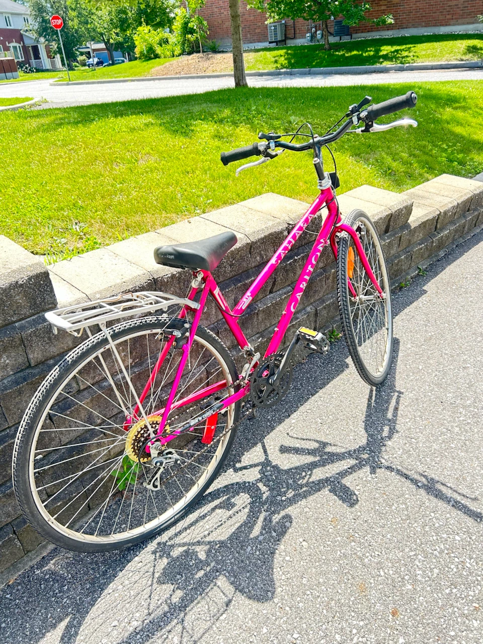 Carlton Ladies Mountain Bike