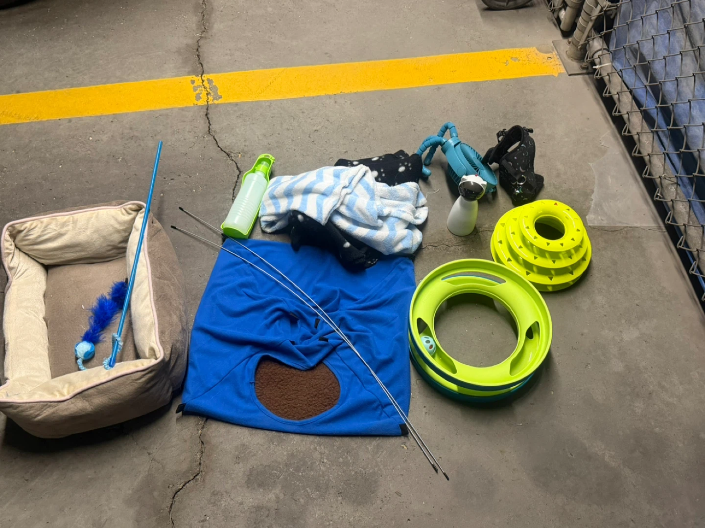 Assorted Cat Toys and Accessories